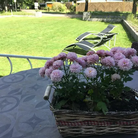 Felix Am Joachimsthal