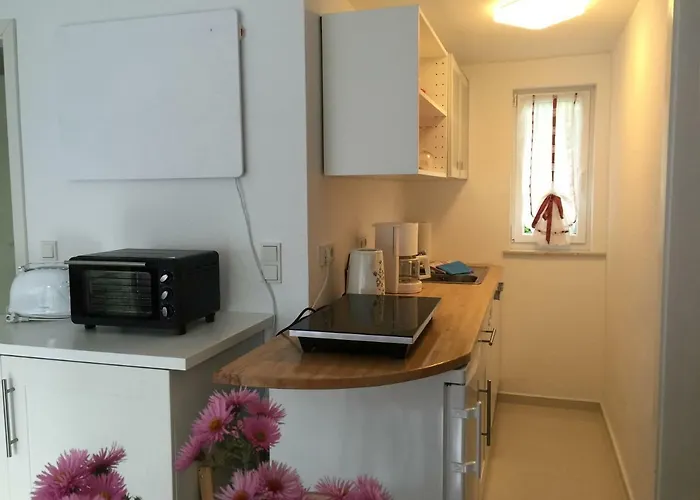 Felix Am * يواخيمستال