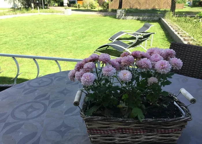 Felix Am يواخيمستال